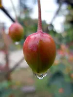 151.webp