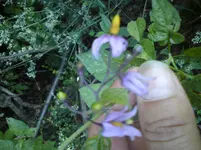 DSC01693.webp