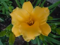 085_2.webp