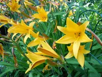 084.webp