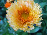 126.webp