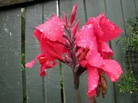 tn_IMG_1757v.webp