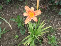 2011_0609060021.webp
