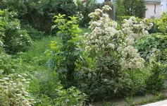 IMG_1244_2_1.webp