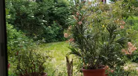 IMG_1254_2_1.webp