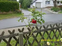 DSCI0001.webp