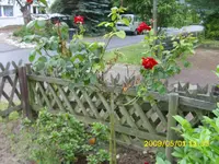 DSCI0004.webp