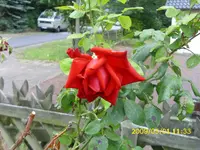 DSCI0005.webp