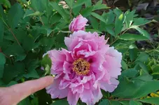 DSC_8248.webp