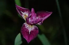 DSC_8360.webp