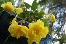 DSC05502.webp