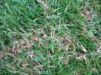 IMG_0973.webp
