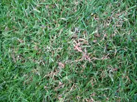 IMG_0977.webp