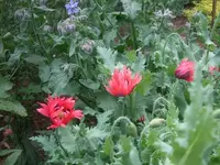k-DSCF0029.webp