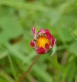DSC_5167.webp