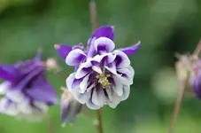 DSC_8276.webp
