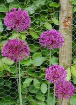 DSC_8283.webp