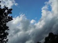 Wolkig015.webp