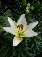 002.webp