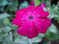 012.webp
