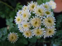 189.webp