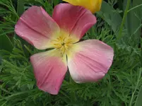 IMG_3686_1067x800.webp