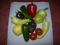 100_3526.webp