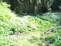 giersch1.webp