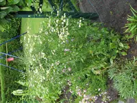 IMG_0143.webp