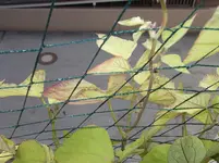 DSCF1157.webp