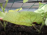 DSCF1158.webp