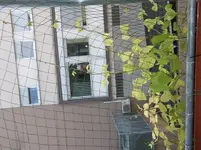 DSCF1159.webp