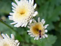 033.webp