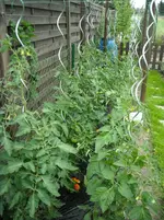 DSCN1898.webp