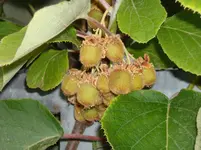 DSCN1908.webp
