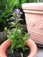 DSCF5566.webp