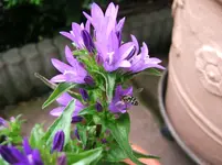 DSCF5567.webp