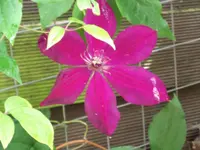 DSCF0592.webp