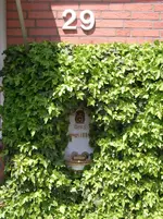 Bild 114.webp