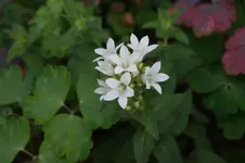 DSC05540.webp