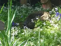 Bild 182.webp