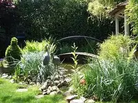 Bild 183.webp