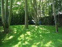 Bild 193.webp