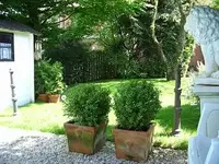Bild 199.webp