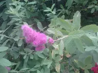 P150611_18.14_[02].webp
