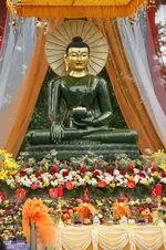 DSC05516.webp