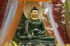 DSC05526.webp