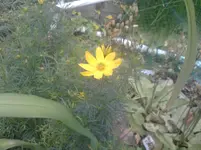 P150611_18.16.webp