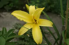 DSC05538.webp