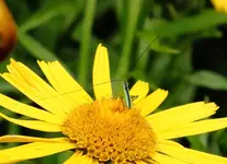 IMG_6273.webp